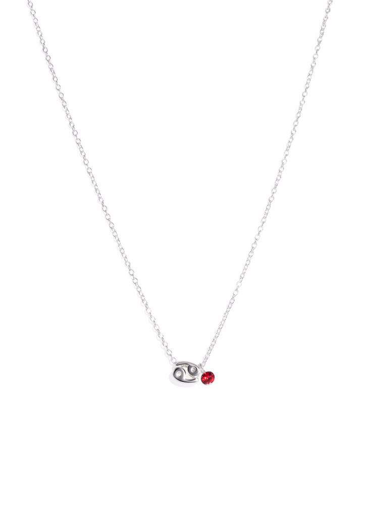 The Zodiac Cancer Silver Charm Necklace