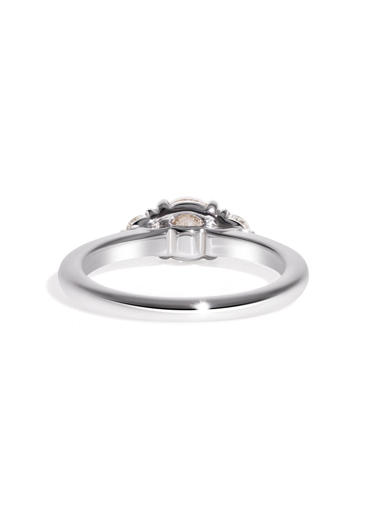 The Ada Ring with 1.23ct Round Salt and Pepper Diamond - Molten Store