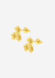 The Floret 14ct Gold Vermeil Stud Earrings - Molten Store