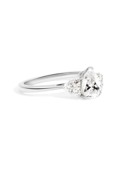 The Ivy White Gold Ring Setting - Molten Store