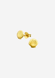 The Little Shell 14ct Gold Vermeil Stud Earrings - Molten Store