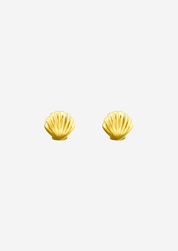 The Little Shell 14ct Gold Vermeil Stud Earrings - Molten Store