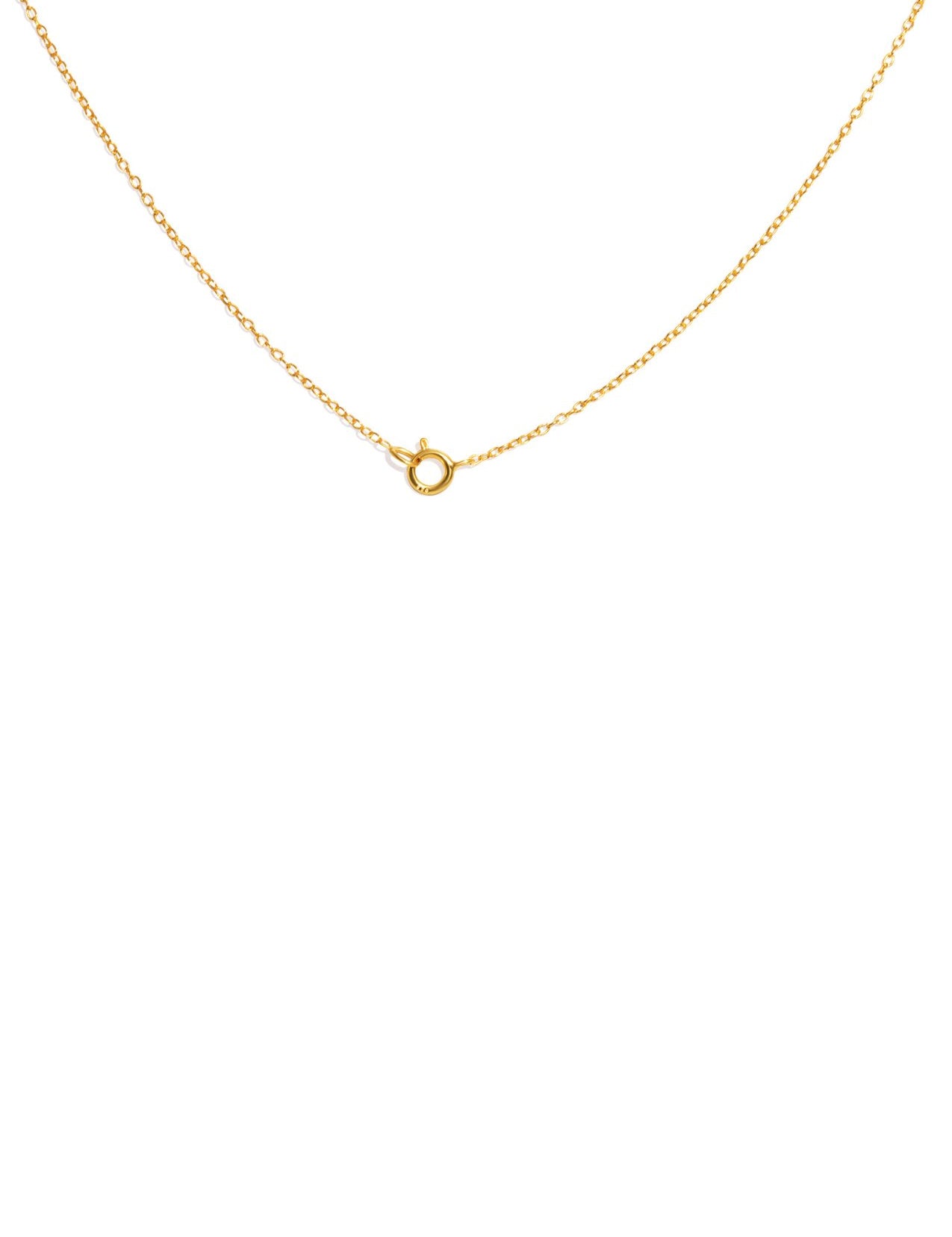 The Ode Gold Vermeil Chain Necklace - Molten Store