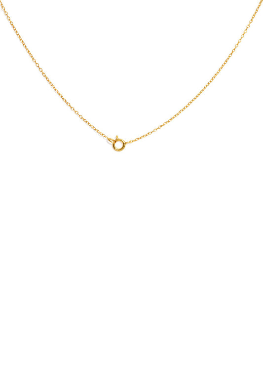 The Ode Gold Vermeil Chain Necklace - Molten Store