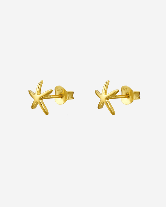 The Sea Star 14ct Gold Vermeil Stud Earrings - Molten Store