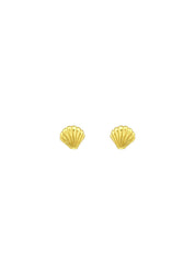 The Seashell Gold Vermeil Stud Earring - Molten Store