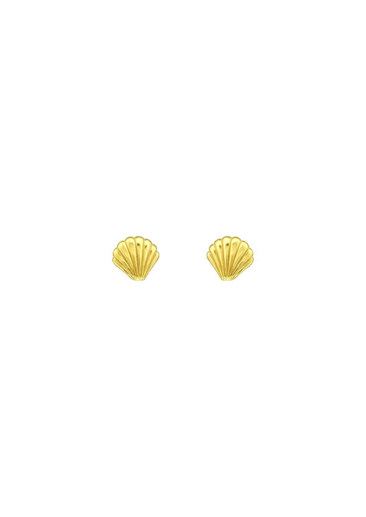 The Seashell Gold Vermeil Stud Earring - Molten Store