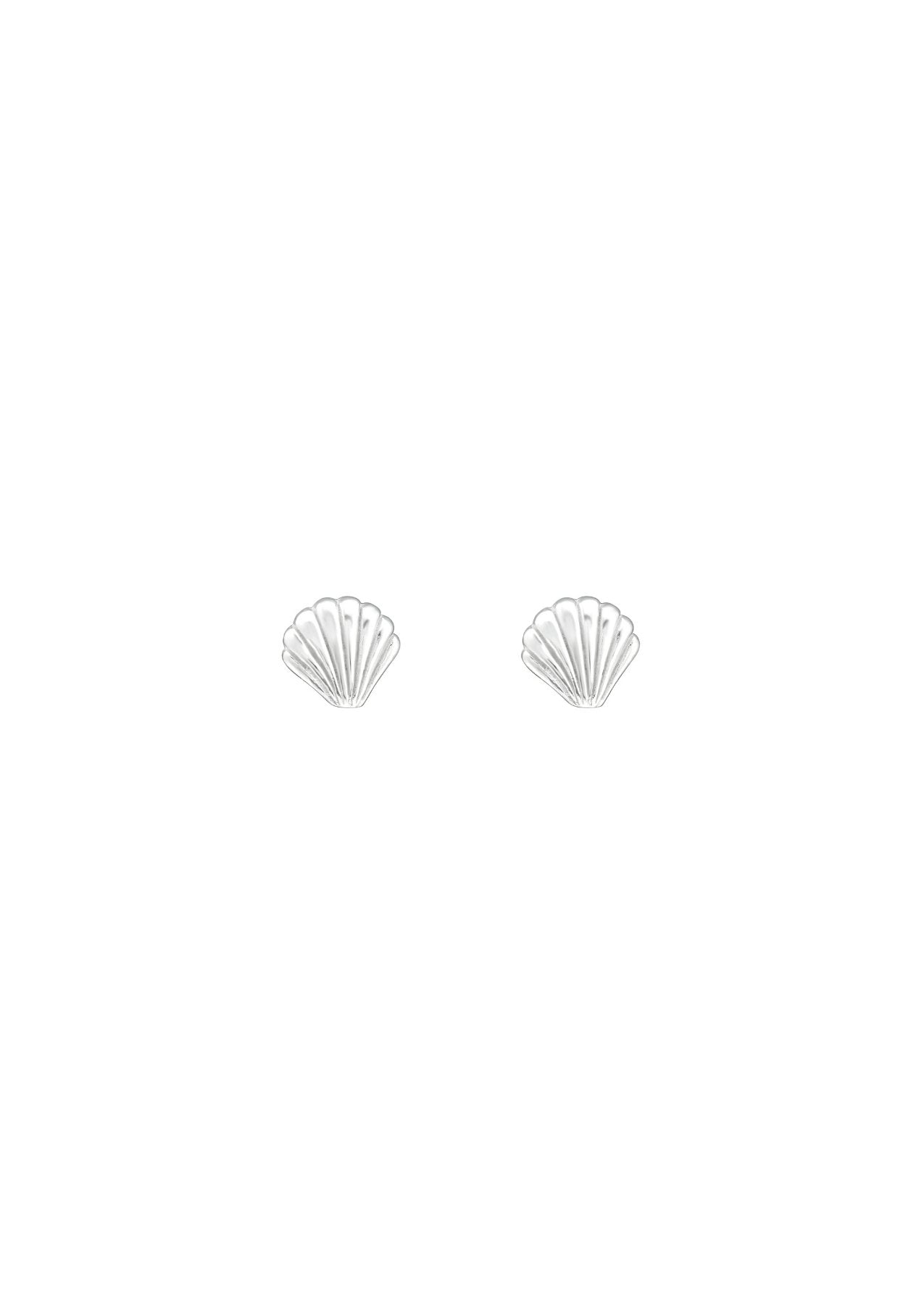 The Seashell Silver Stud Earrings - Molten Store