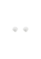 The Seashell Silver Stud Earrings - Molten Store