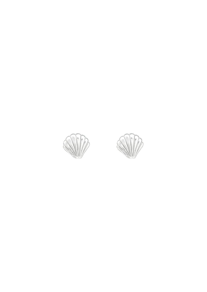 The Seashell Silver Stud Earrings - Molten Store