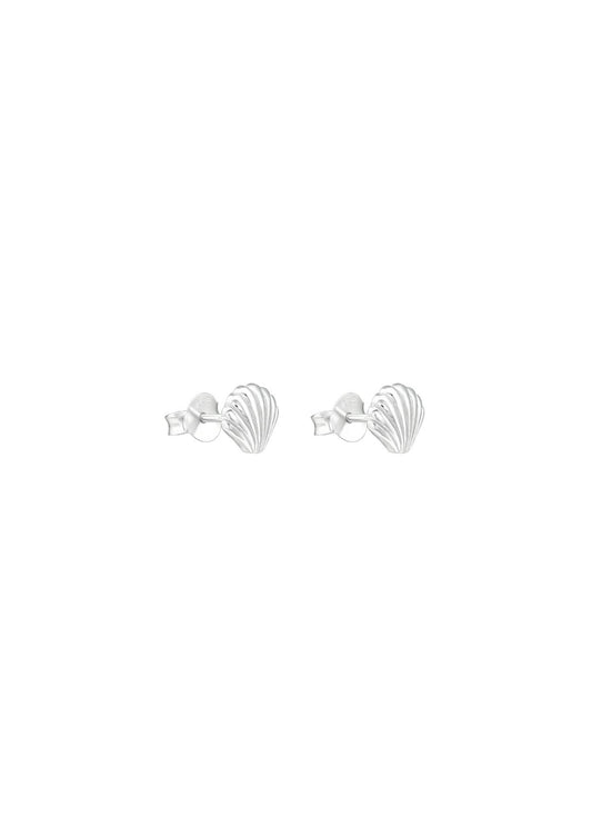 The Seashell Silver Stud Earrings - Molten Store