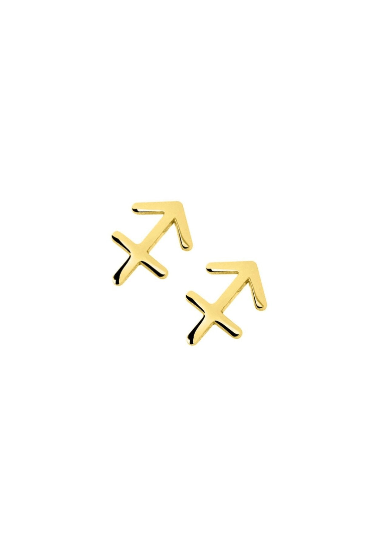 The Zodiac 14ct Gold Vermeil Stud Earrings - Molten Store