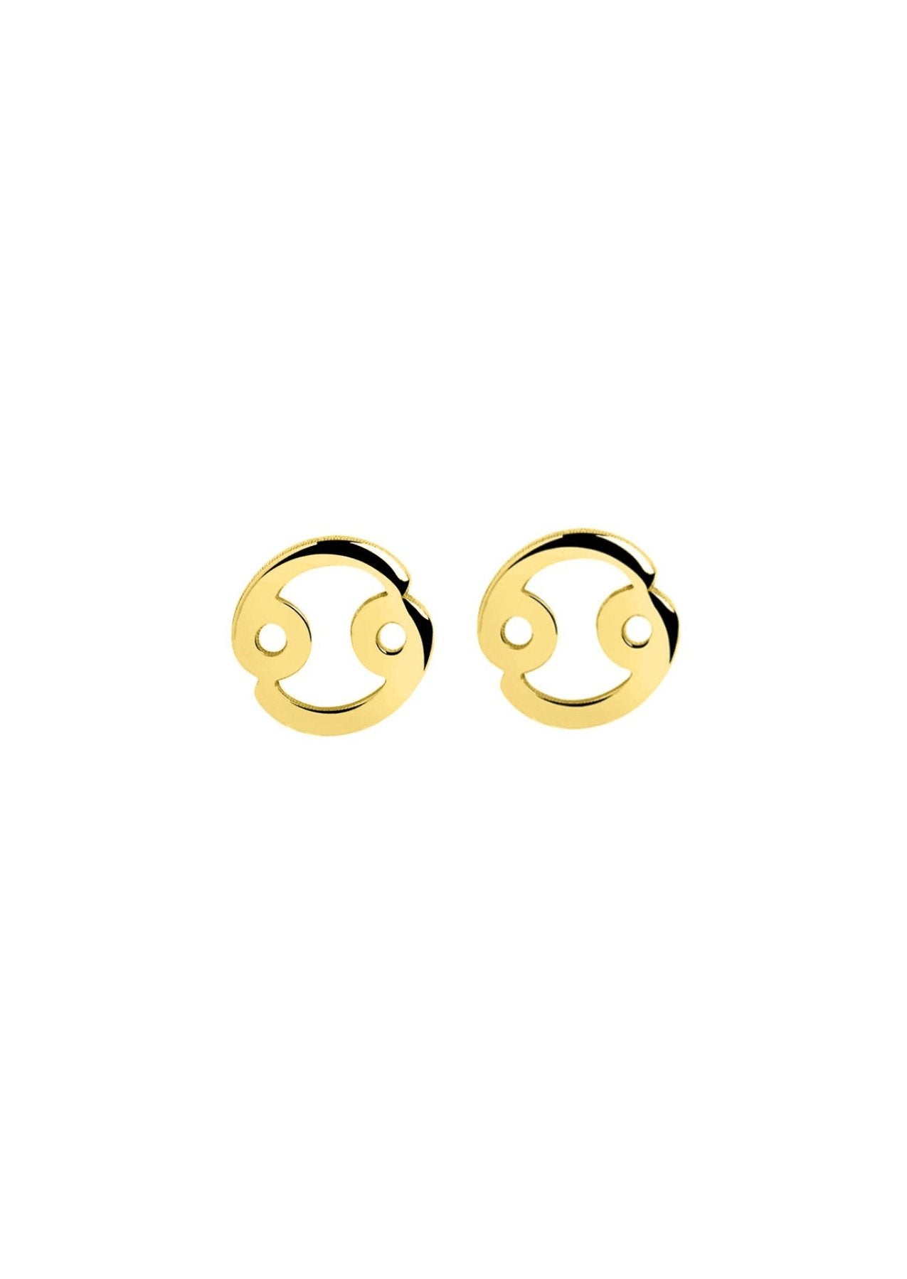 The Zodiac 14ct Gold Vermeil Stud Earrings - Molten Store