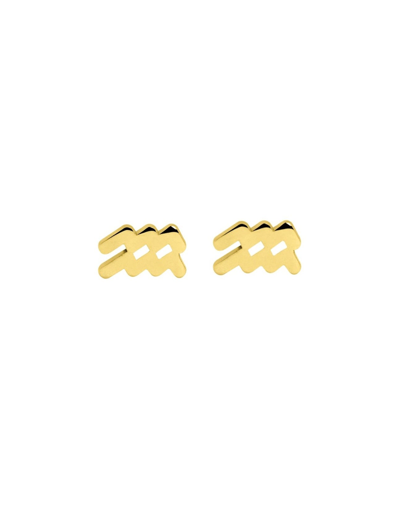 The Zodiac 14ct Gold Vermeil Stud Earrings - Molten Store