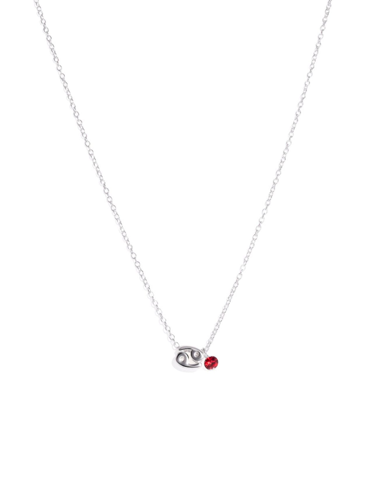 The Zodiac Cancer Silver Charm Necklace - Molten Store