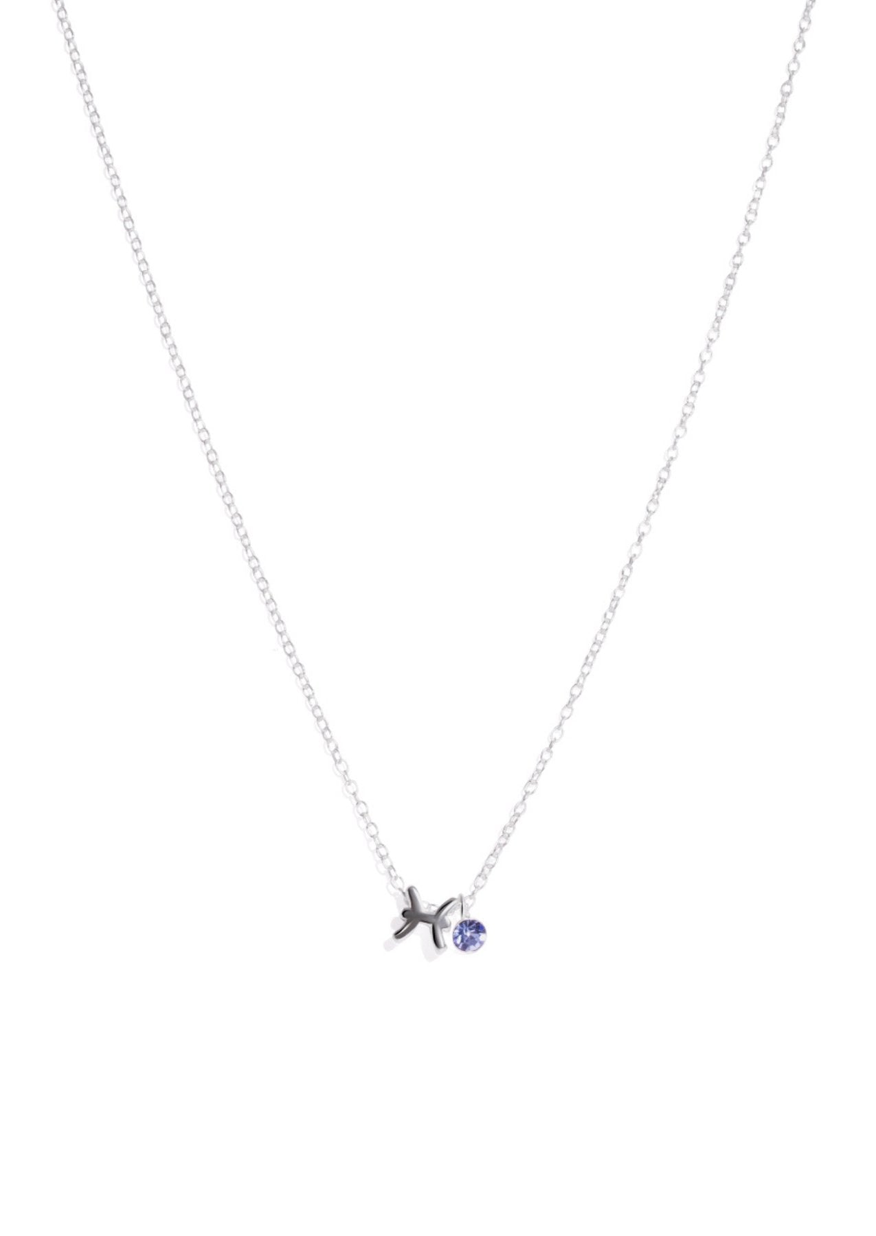 The Zodiac Pisces Silver Charm Necklace - Molten Store