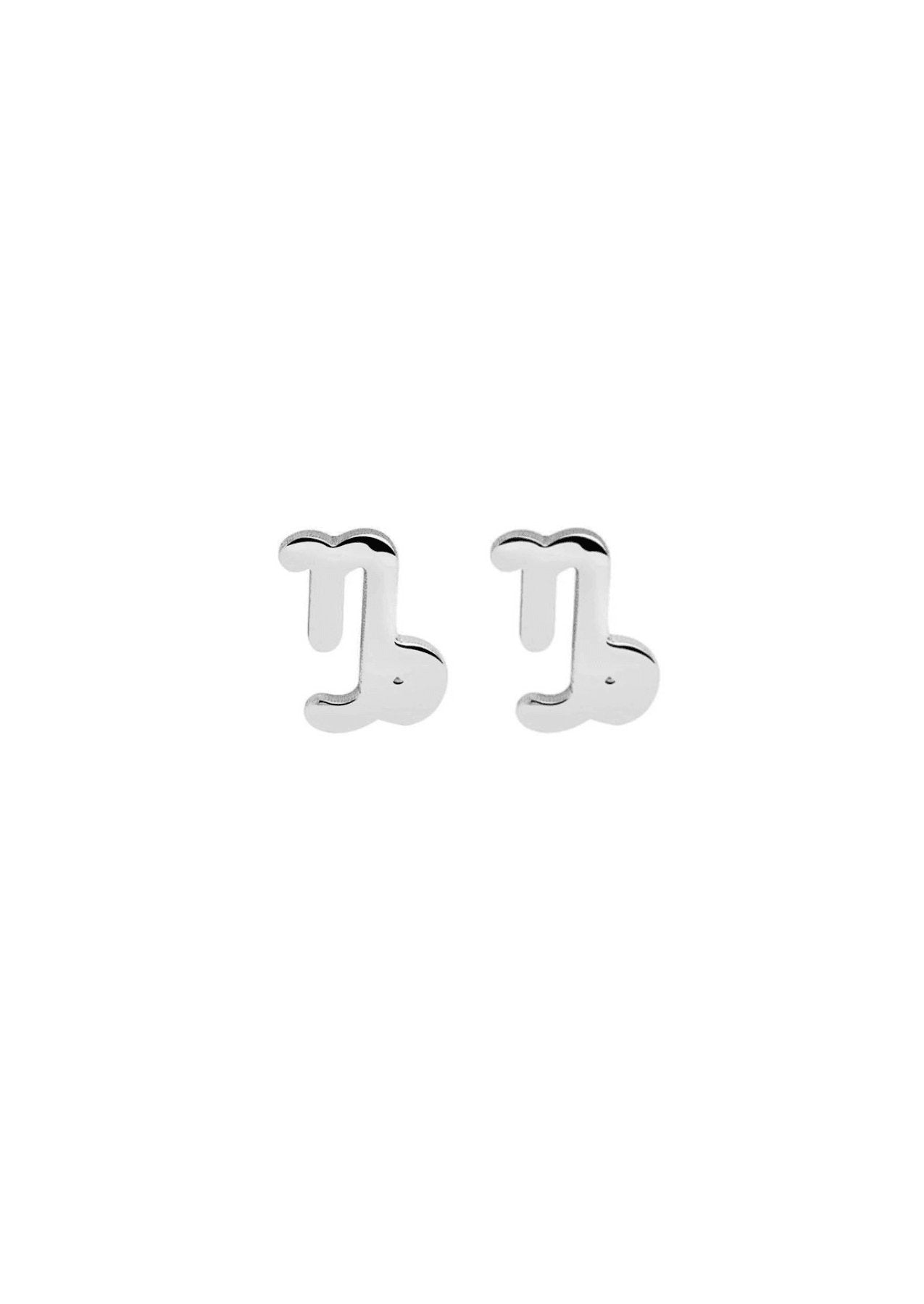 The Zodiac Silver Stud Earrings - Molten Store