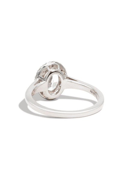 The Iris White Gold Cultured Diamond Ring - Molten Store